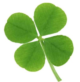 Four leaf clover