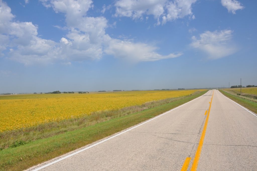 Country road